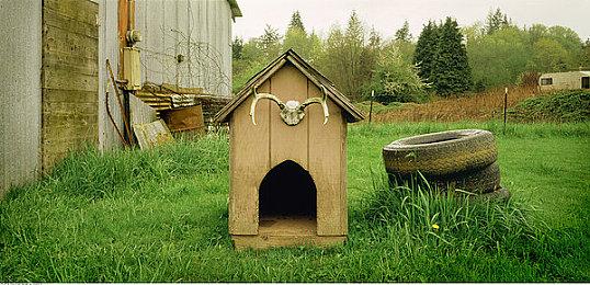 传闻：Atlus多款新作开发中 《女神异闻录6》2025年发售